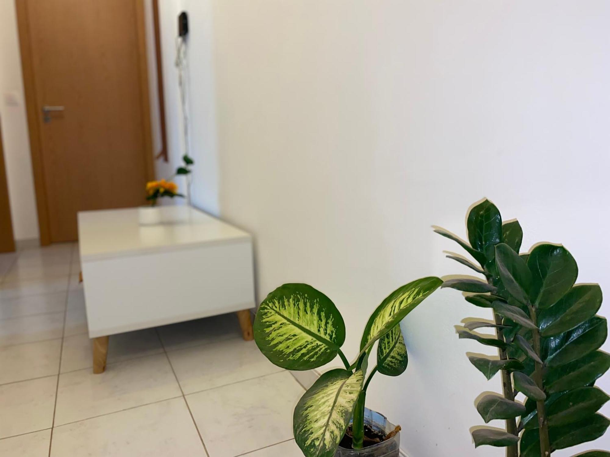 Apartamento T2 Equipado E Aconchegante. Praia Esterno foto